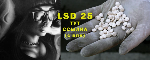 сатива Аркадак