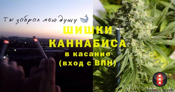 сатива Аркадак