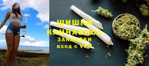 сатива Аркадак