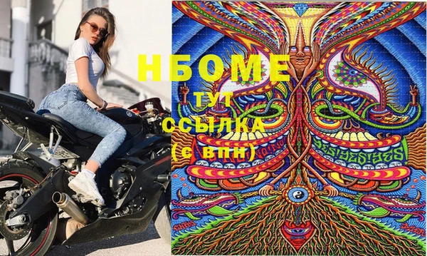 сатива Аркадак