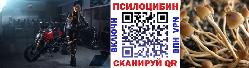 Псилоцибиновые грибы Cubensis  MEGA как зайти  Сорочинск 