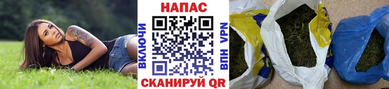 Конопля семена  Сорочинск 